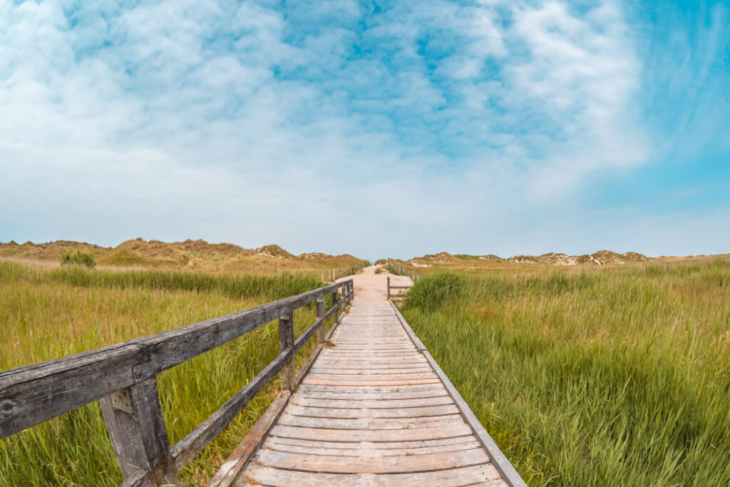 Motiv st peter ording 6 21-74