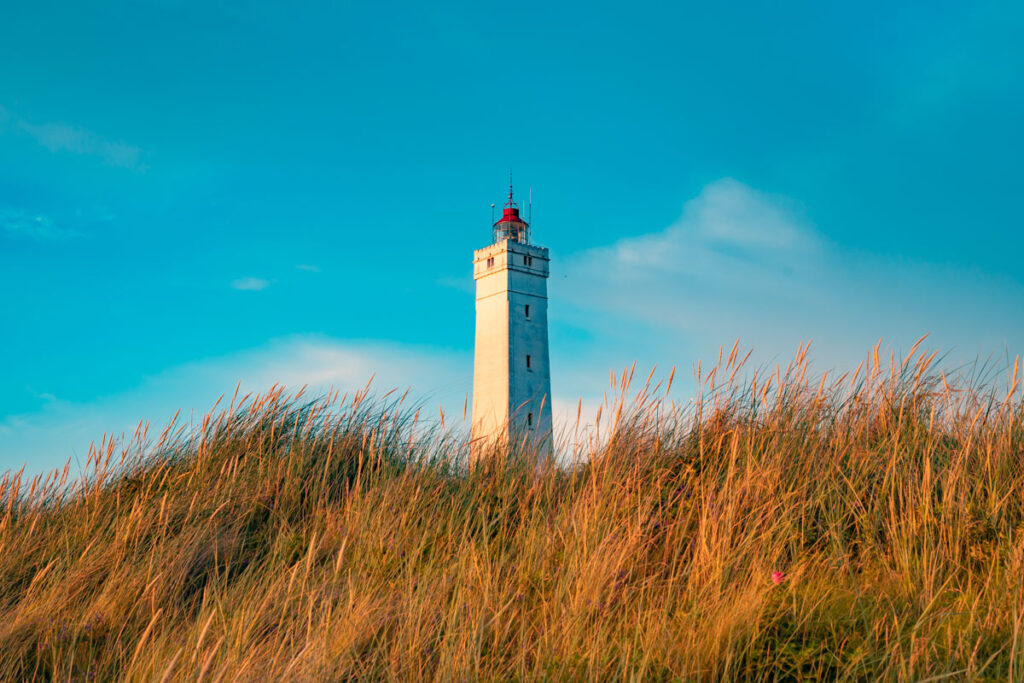 Motiv blavand 22 7-161