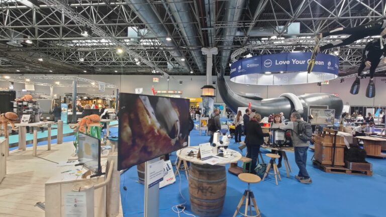 Bereich Love Your Ocean mit einer großen Walskulptur, Mikroskopen und Besuchern