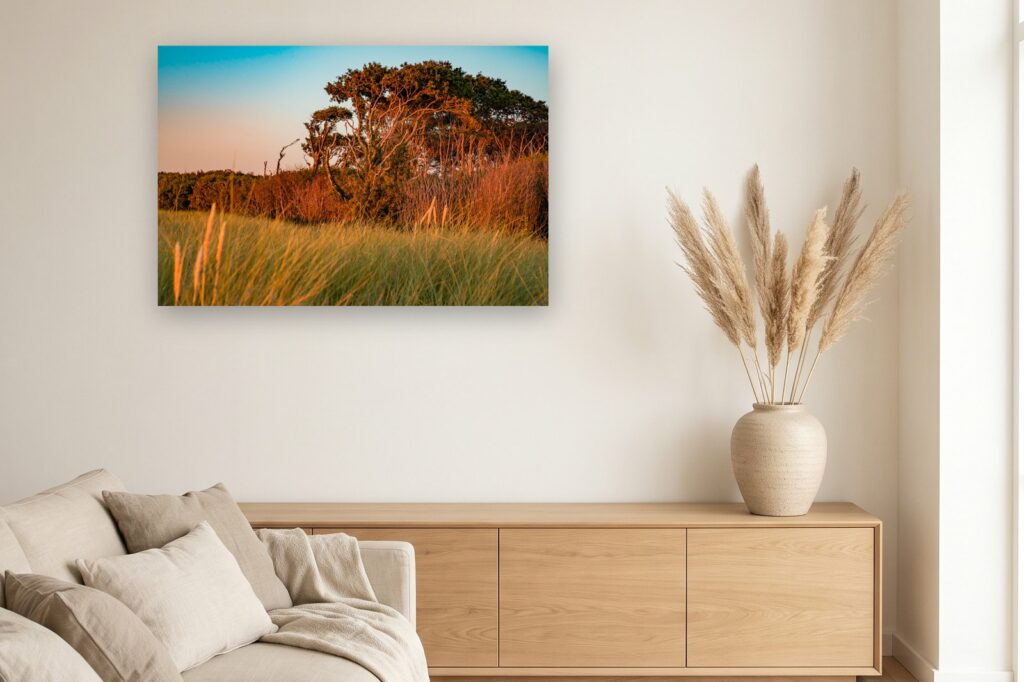 Leinwand Fischland Darss Zingst 3 als 120 x 80 cm Leinwand im Wohnzimmer