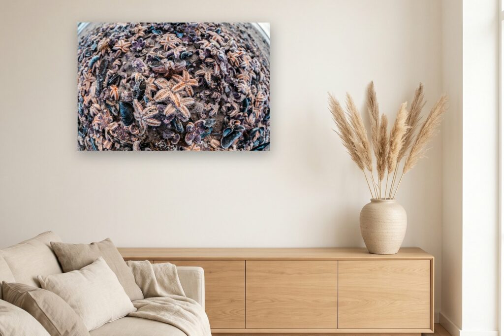 Leinwand Kellenhusen 3 als 120 x 80 cm Leinwand im Wohnzimmer